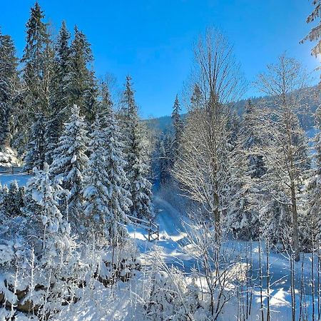 Апартаменти Haus Widmann Шеффау-ам-Вільден-Кайзер Екстер'єр фото